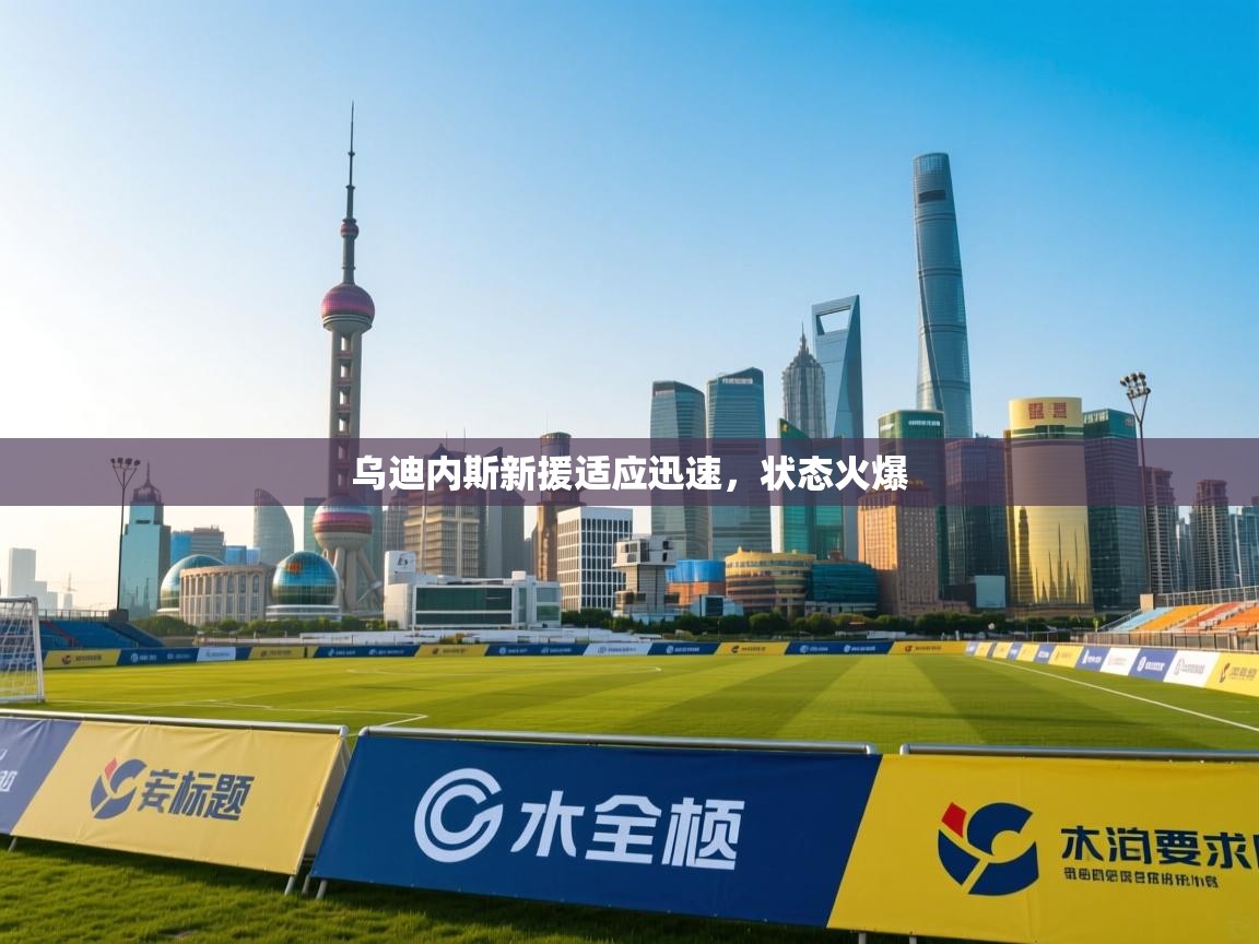 乌迪内斯新援适应迅速,状态火爆 第1张