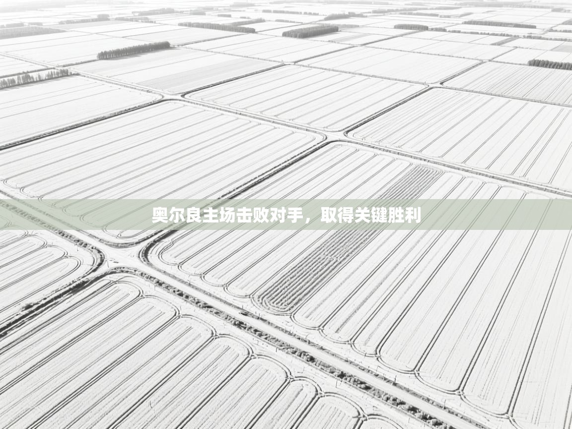奥尔良主场击败对手，取得关键胜利  第1张