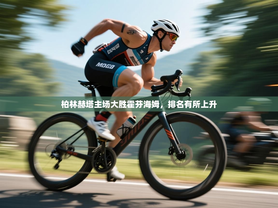 柏林赫塔主场大胜霍芬海姆,排名有所上升 第1张