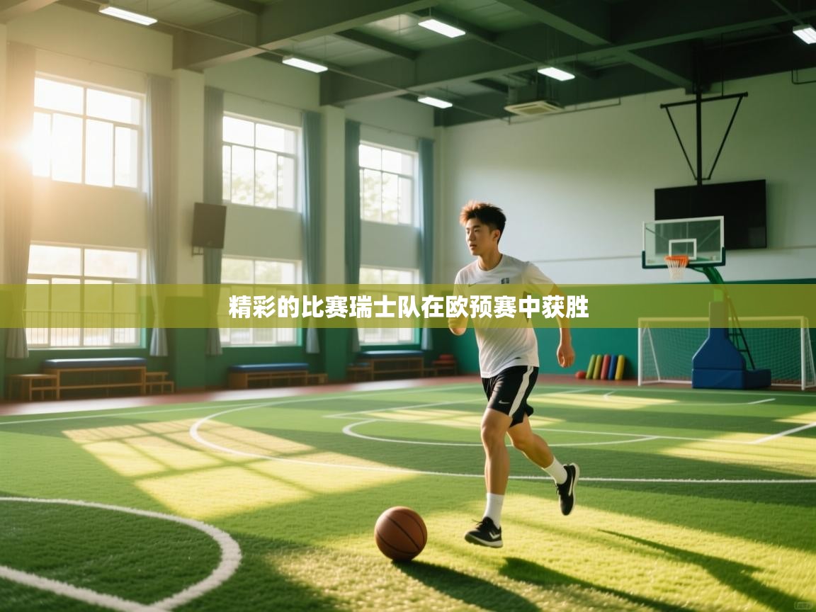 精彩的比赛瑞士队在欧预赛中获胜  第2张