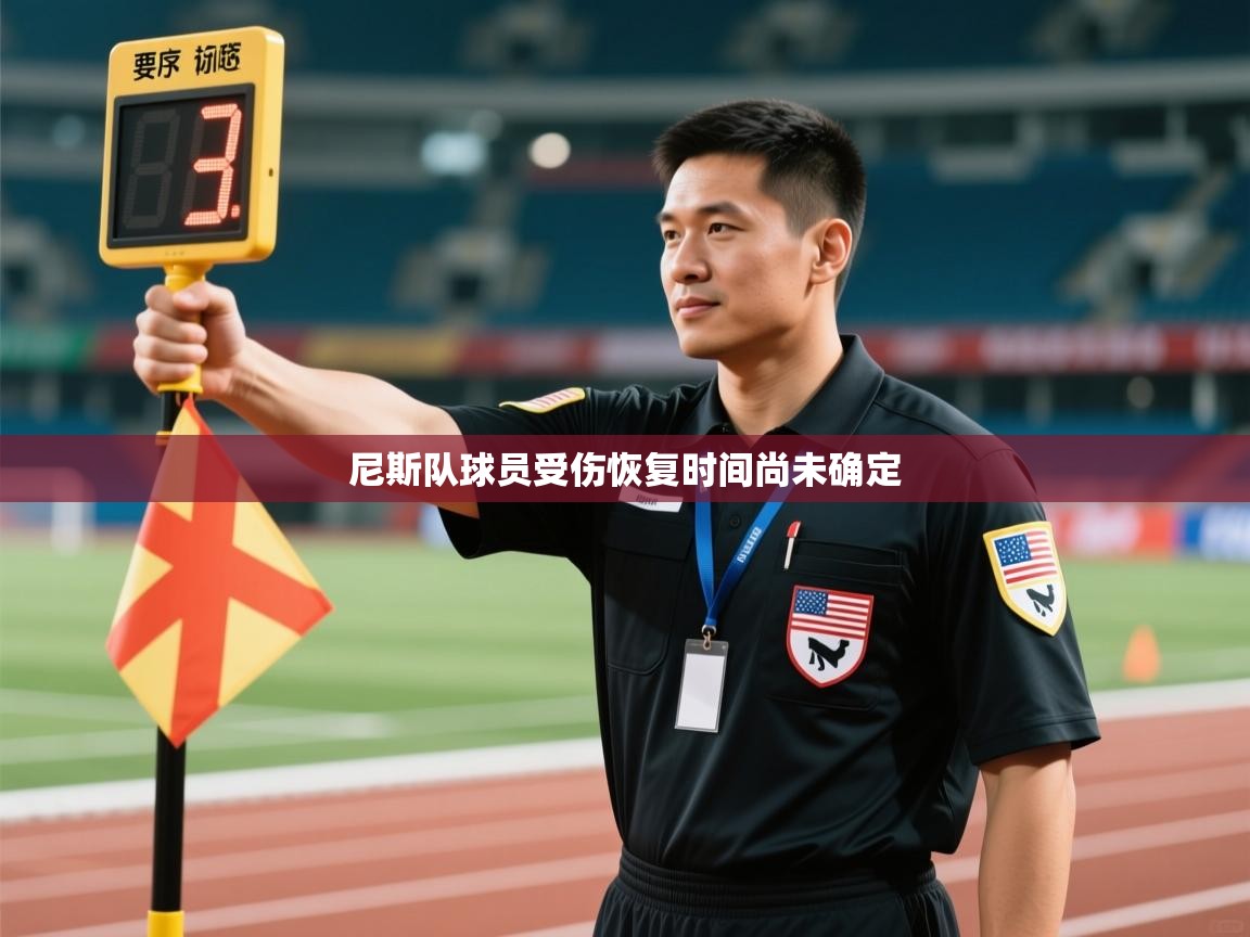 尼斯队球员受伤恢复时间尚未确定  第2张