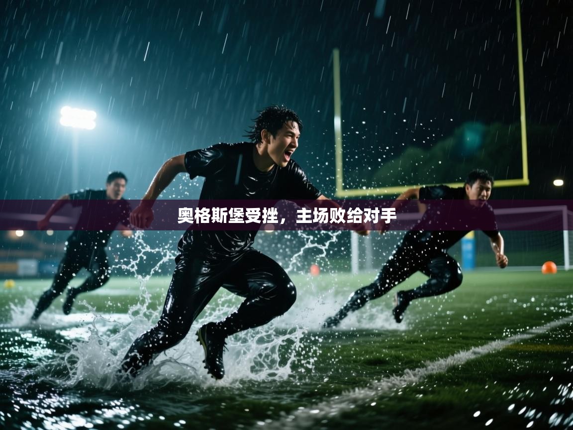 奥格斯堡受挫，主场败给对手  第1张